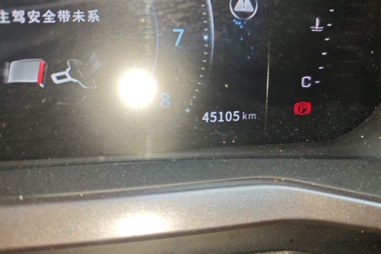 Used FORTHING T5L 2020 1.5T Automatic Luxury 7-Seater China VI Standard Odometer Close Up