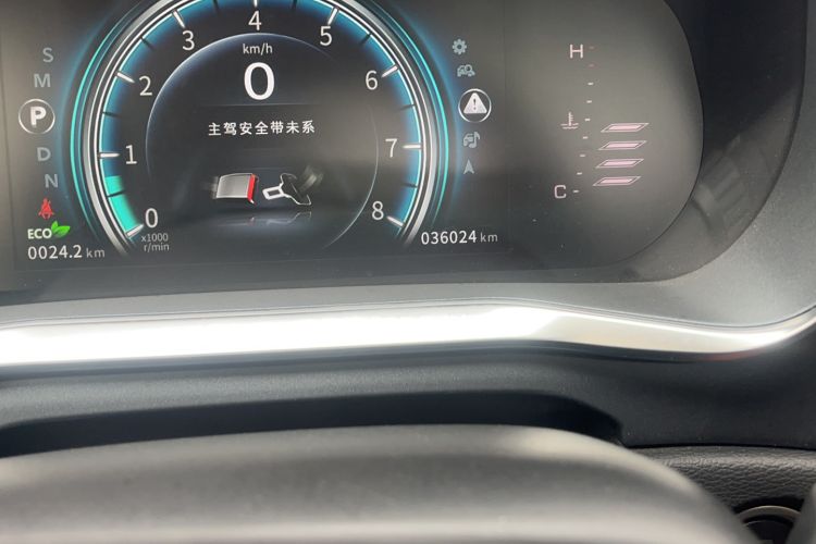 Used FORTHING T5L 2020 1.5T Automatic Luxury 7-Seater China VI Standard Odometer Close Up