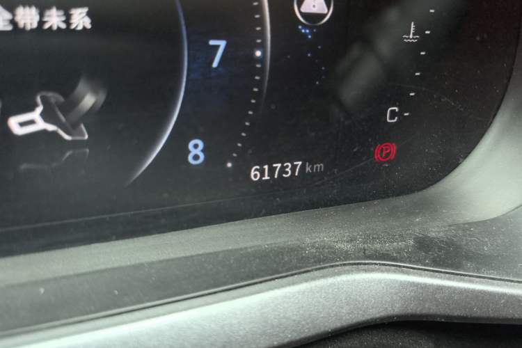 Used FORTHING T5L 2020 1.8T Manual Luxury 7-Seater China VI Standard Odometer Close Up