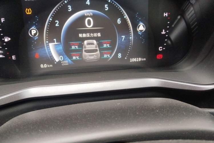 Used FORTHING T5L 2020 1.5T Automatic Luxury 7-Seater China VI Standard Odometer Close Up