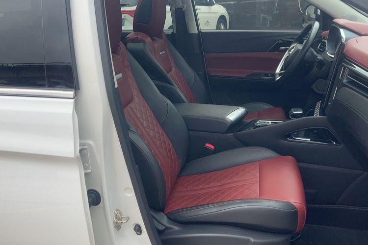 Used FORTHING T5L 2020 1.5T Automatic Luxury 7-Seater China VI Standard Right Front Seat