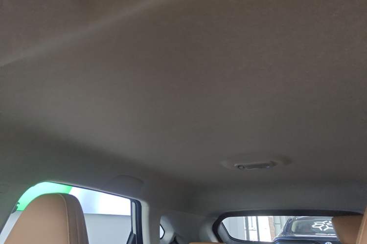 Used FORTHING Xinghai T5 2026 Model 530km Prestige Edition Headliner