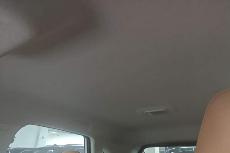 Used FORTHING Xinghai T5 2026 Model 530km Prestige Edition Headliner