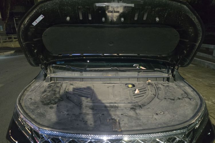 Used FORTHING Xinghai V9 2024 1.5TD 100km Chinese Knot Series Luxury Version Engine Bay
