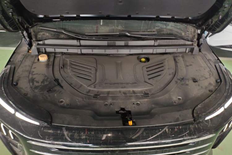 Used FORTHING Xinghai V9 2024 1.5TD 200km Chinese Knot Series Luxury Version Engine Bay