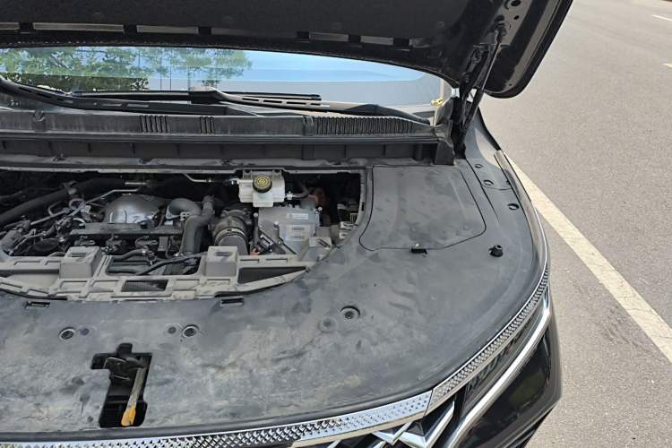 Used FORTHING Xinghai V9 2024 1.5TD 200km Chinese Knot Series Luxury Version Engine Bay Left