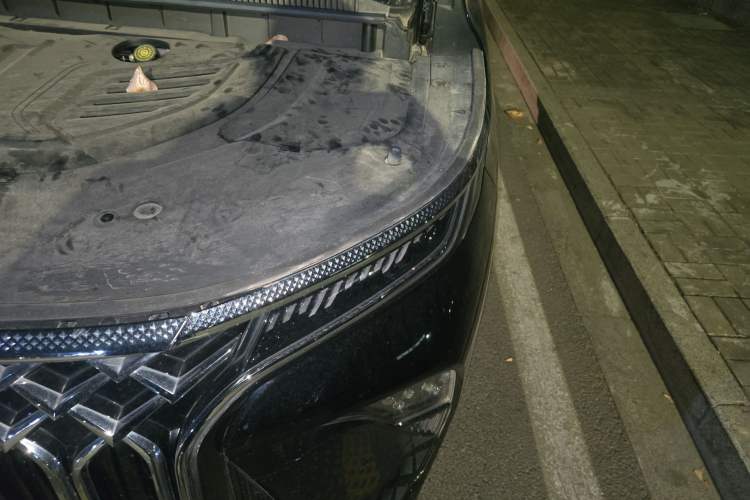 Used FORTHING Xinghai V9 2024 1.5TD 100km Chinese Knot Series Luxury Version Engine Bay Left