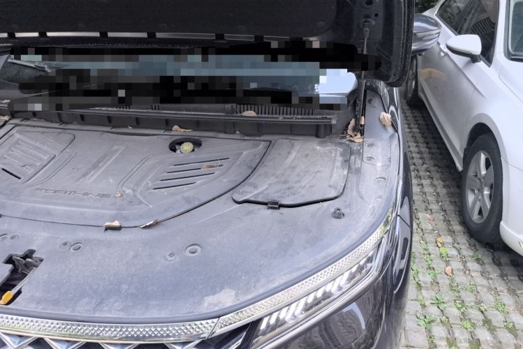 Used FORTHING Xinghai V9 2024 1.5TD 100km Chinese Knot Series Performance Edition Engine Bay Left