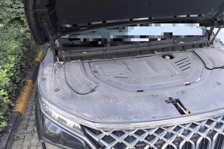 Used FORTHING Xinghai V9 2024 1.5TD 100km Chinese Knot Series Performance Edition Engine Bay Right