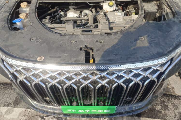 Used FORTHING Xinghai V9 2024 1.5TD 200km Chinese Knot Series Premium Edition Engine Bay