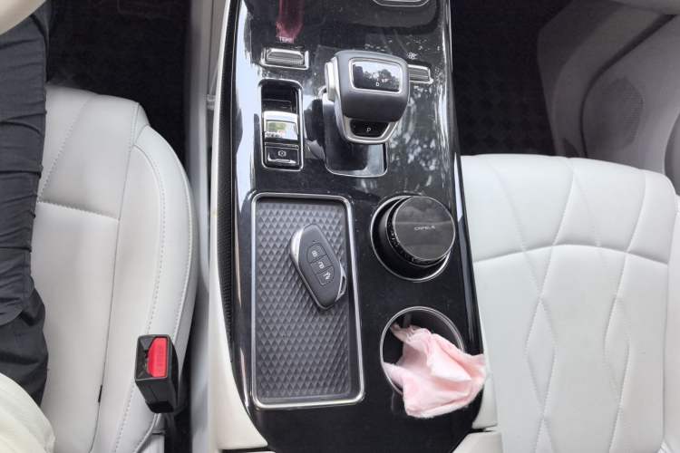 Used FORTHING Xinghai V9 2024 1.5TD 100km Chinese Knot Series Performance Edition Gear Lever