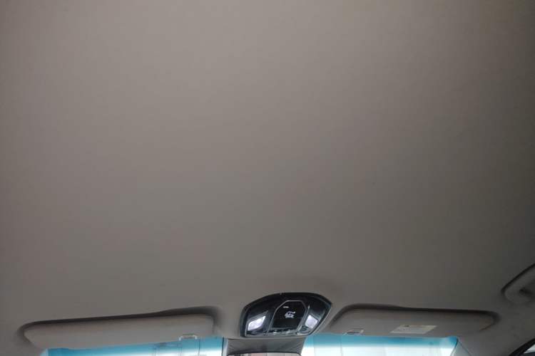Used FORTHING Xinghai V9 2024 1.5TD 200km Chinese Knot Series Luxury Version Headliner