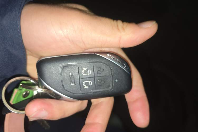 Used FORTHING Xinghai V9 2024 1.5TD 100km Chinese Knot Series Luxury Version Vehicle Key