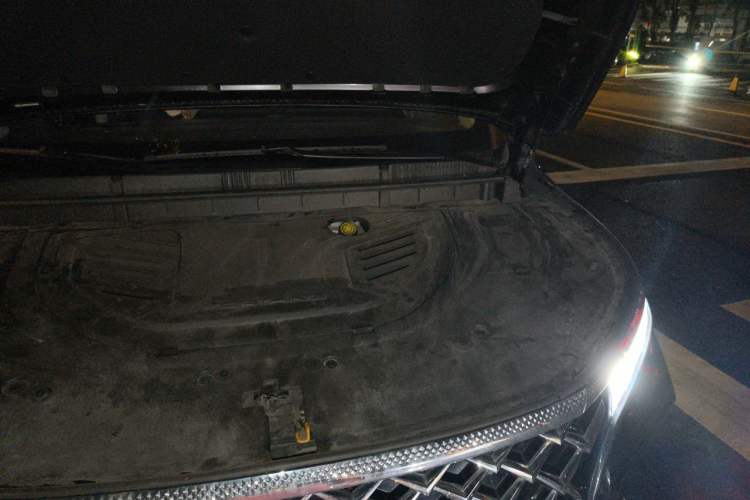 Used FORTHING Xinghai V9 2024 1.5TD 200km Chinese Knot Series Luxury Version Engine Bay Left