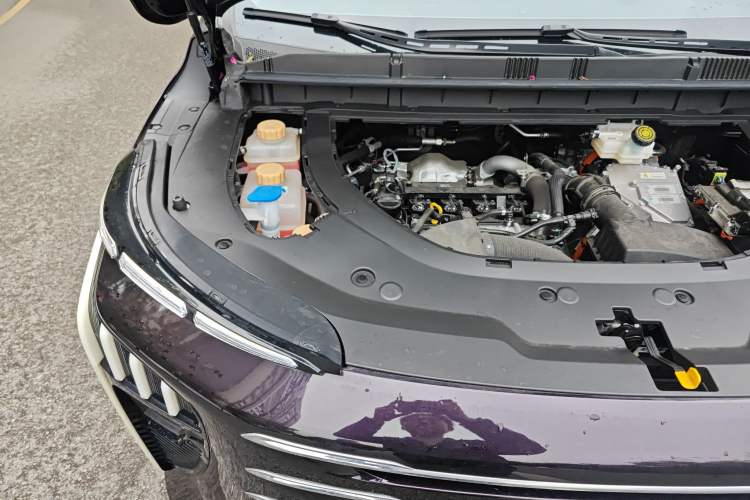 Used FORTHING Xinghai V9 2024 1.5TD 200km Qingyunti Series Flagship Edition Engine Bay Right