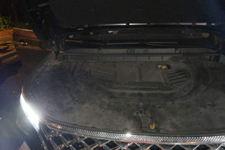 Used FORTHING Xinghai V9 2024 1.5TD 200km Chinese Knot Series Luxury Version Engine Bay Right