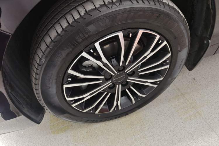 Used FORTHING Xinghai V9 2024 1.5TD 200km Chinese Knot Series Premium Edition Exterior 4