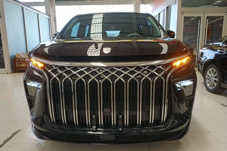 Used FORTHING Xinghai V9 2024 1.5TD 100km Chinese Knot Series Performance Edition Front