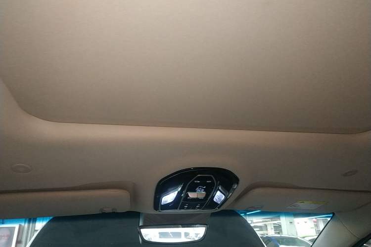 Used FORTHING Xinghai V9 2024 1.5TD 200km Qingyunti Series Premium Version Headliner