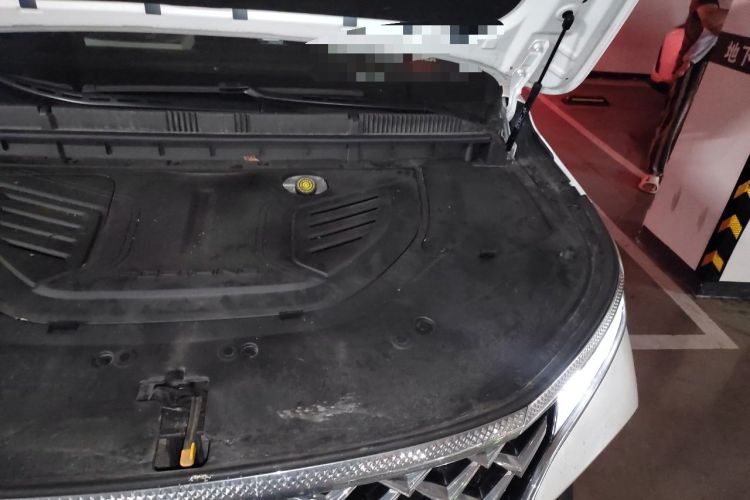 Used FORTHING Xinghai V9 2024 1.5TD 200km Chinese Knot Series Premium Edition Engine Bay Left