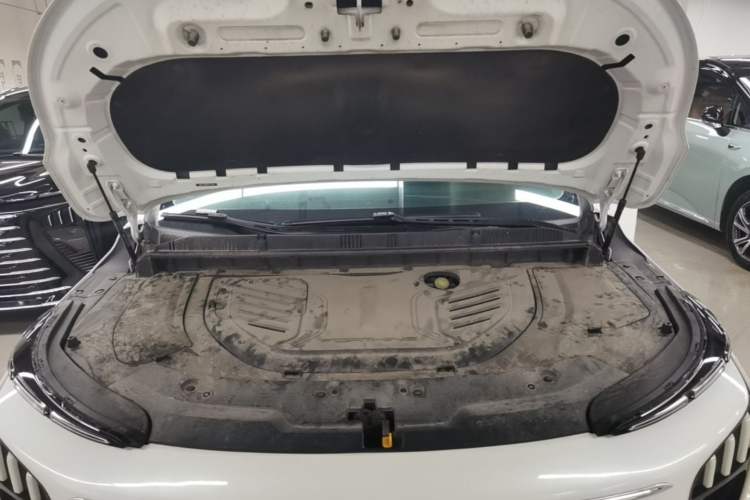 Used FORTHING Xinghai V9 2024 1.5TD 200km Qingyunti Series Premium Version Engine Bay