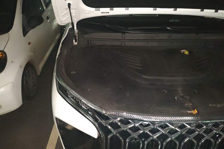 Used FORTHING Xinghai V9 2024 1.5TD 200km Chinese Knot Series Premium Edition Engine Bay Right