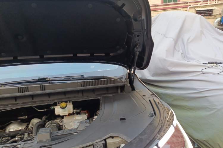 Used FORTHING Xinghai V9 2024 1.5TD 200km Qingyunti Series Flagship Edition Engine Bay Left