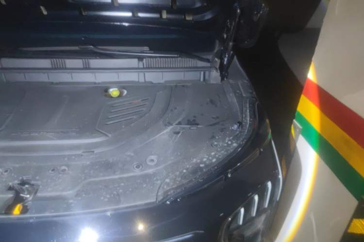 Used FORTHING Xinghai V9 2026 Model, More Enjoyment Series, 200km Luxury Edition Engine Bay Left