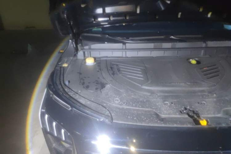 Used FORTHING Xinghai V9 2026 Model, More Enjoyment Series, 200km Luxury Edition Engine Bay Right