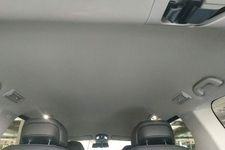 Used FORTHING Xinghai V9 2026 Model, More Enjoyment Series, 200km Comfort Edition Headliner