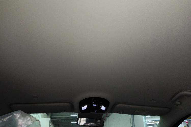 Used FORTHING Xinghai V9 2026 Model, More Enjoyment Series, 200km Comfort Edition Headliner