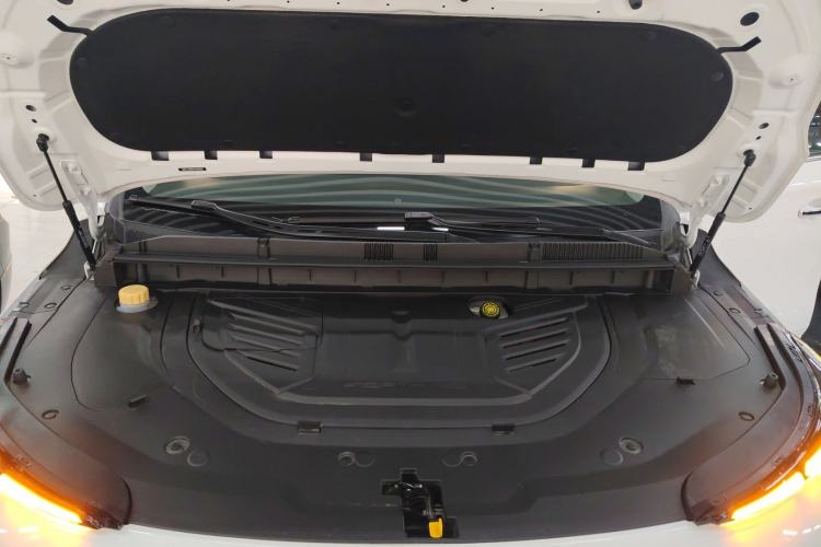 Used FORTHING Xinghai V9 2026 Model, More Enjoyment Series, 200km Comfort Edition Engine Bay