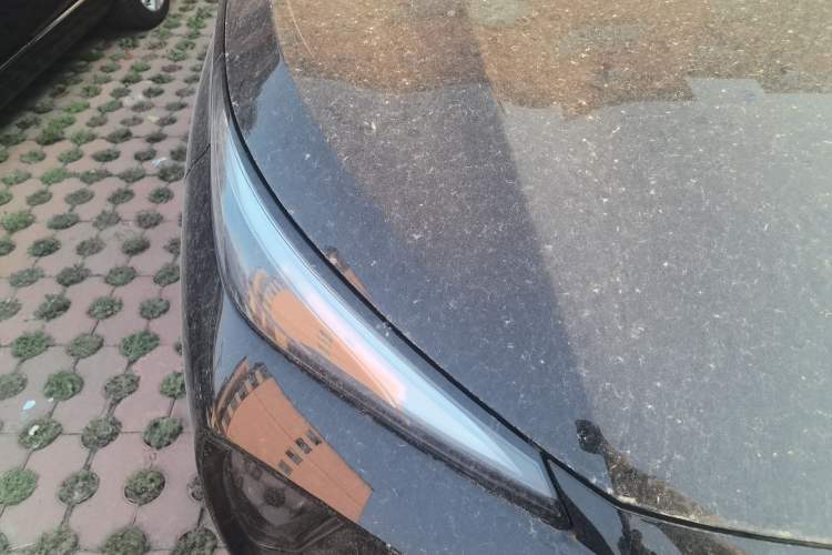 Used FORTHING Xinghai X5 2025 Model, 530 Executive Edition Right Front Headlight