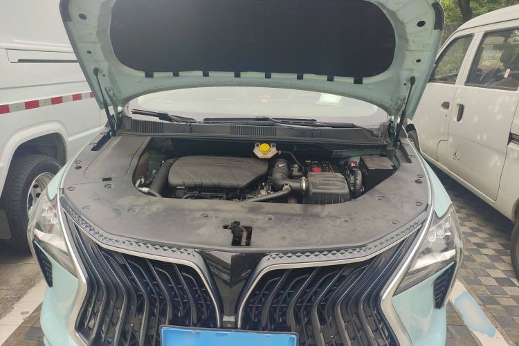 Used FORTHING Yacht 2022 1.5T DCT Chasing-the-Waves Edition Engine Bay