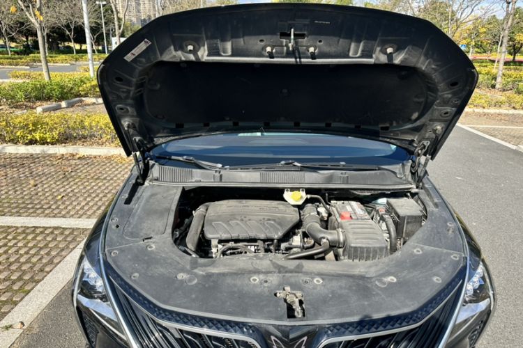 Used FORTHING Yacht 2022 1.5T DCT Yangfan Edition Engine Bay