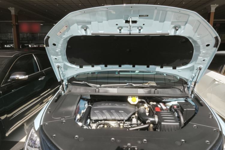 Used FORTHING Yacht 2022 1.5T DCT Chasing-the-Waves Edition Engine Bay