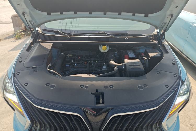Used FORTHING Yacht 2022 1.5T DCT Chasing-the-Waves Edition Engine Bay