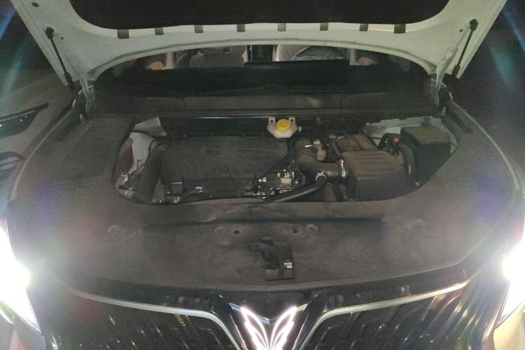 Used FORTHING Yacht 2022 1.5T DCT Chasing Wind Edition Engine Bay