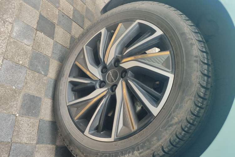 Used FORTHING Yacht 2022 1.5T DCT Chasing-the-Waves Edition Right Rear Wheel Hub