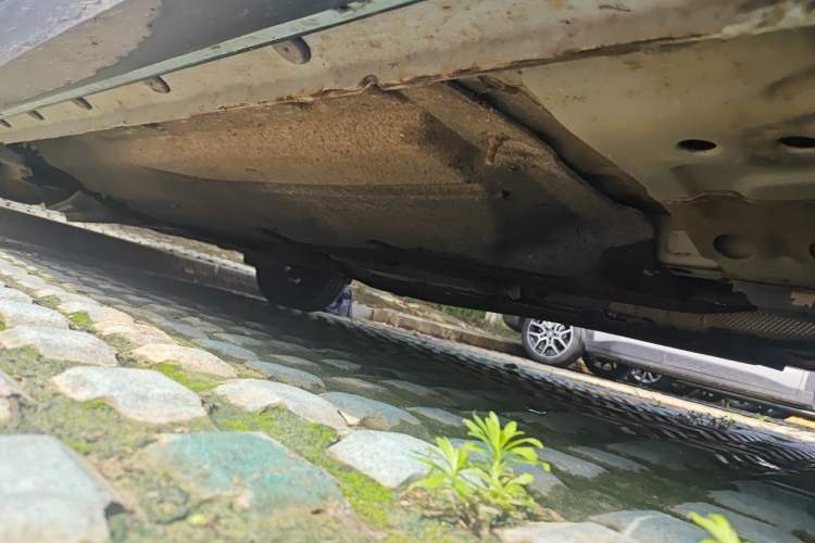 Used FORTHING Yacht 2022 1.5T DCT Chasing-the-Waves Edition Chassis Front Right