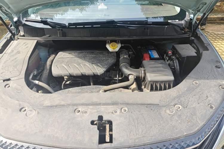 Used FORTHING Yacht 2022 1.5T DCT Chasing-the-Waves Edition Engine Bay