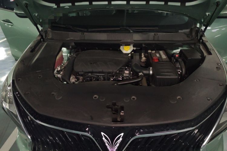 Used FORTHING Yacht 2022 1.5T DCT Chasing Wind Edition Engine Bay
