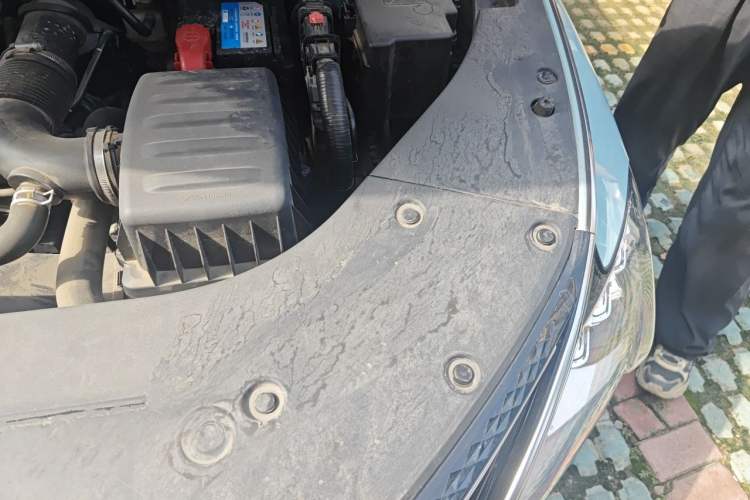 Used FORTHING Yacht 2022 1.5T DCT Chasing-the-Waves Edition Engine Bay Left