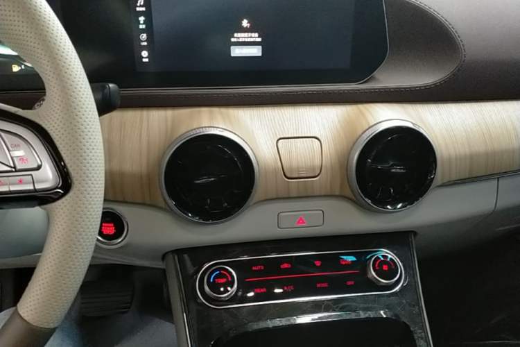 Used FORTHING Yacht 2022 1.5T DCT Chasing Wind Edition Audio And AC Panel