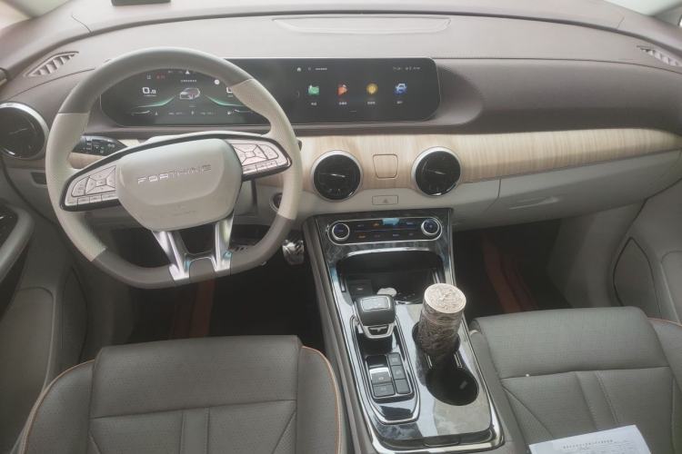 Used FORTHING Yacht 2022 1.5T DCT Lan Yue Edition Center Console