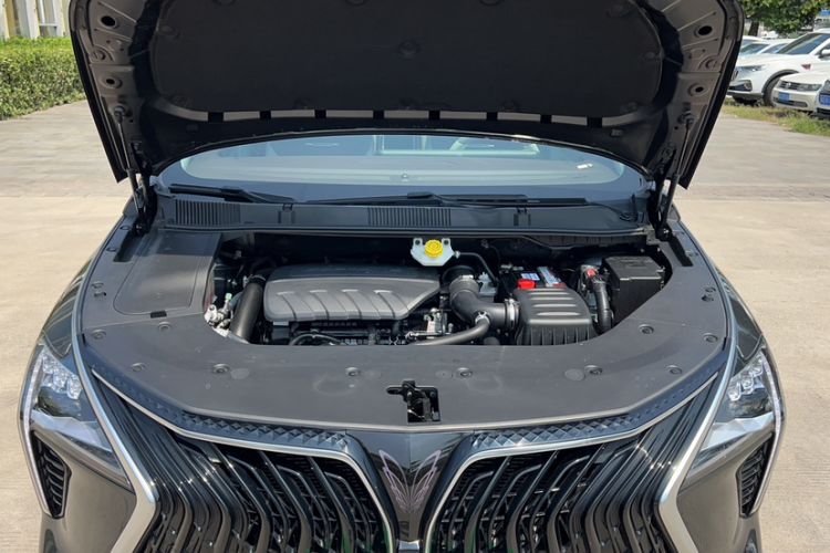 Used FORTHING Yacht 2022 1.5T DCT Chasing-the-Waves Edition Engine Bay