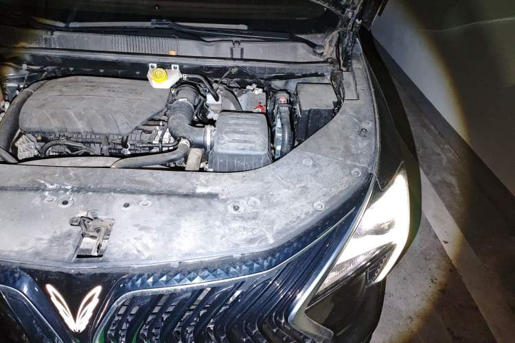 Used FORTHING Yacht 2022 1.5T DCT Chasing-the-Waves Edition Engine Bay Left