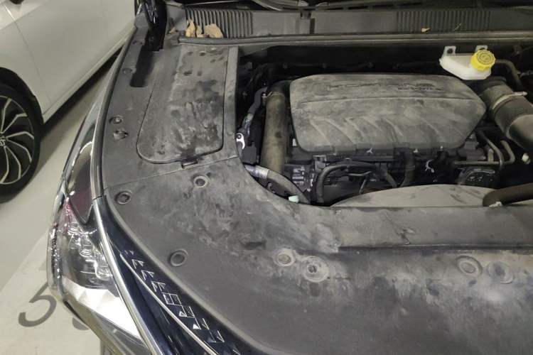 Used FORTHING Yacht 2022 1.5T DCT Chasing-the-Waves Edition Engine Bay Right