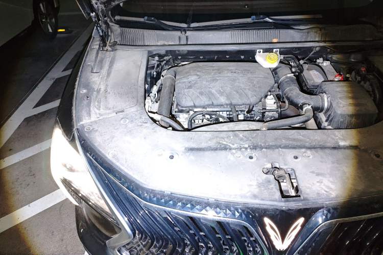 Used FORTHING Yacht 2022 1.5T DCT Chasing-the-Waves Edition Engine Bay Right