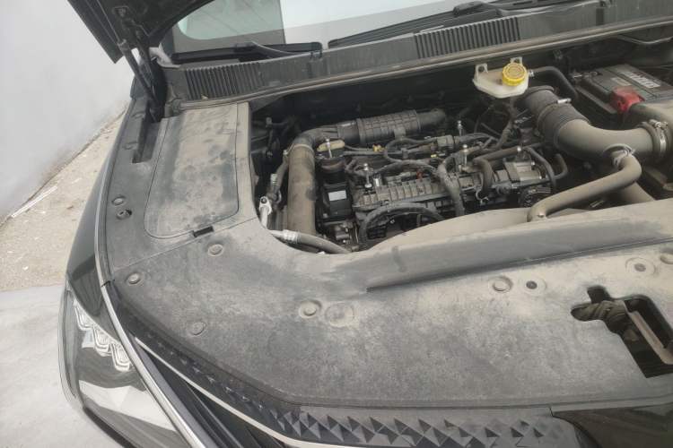 Used FORTHING Yacht 2022 1.5T DCT Lan Yue Edition Engine Bay Right